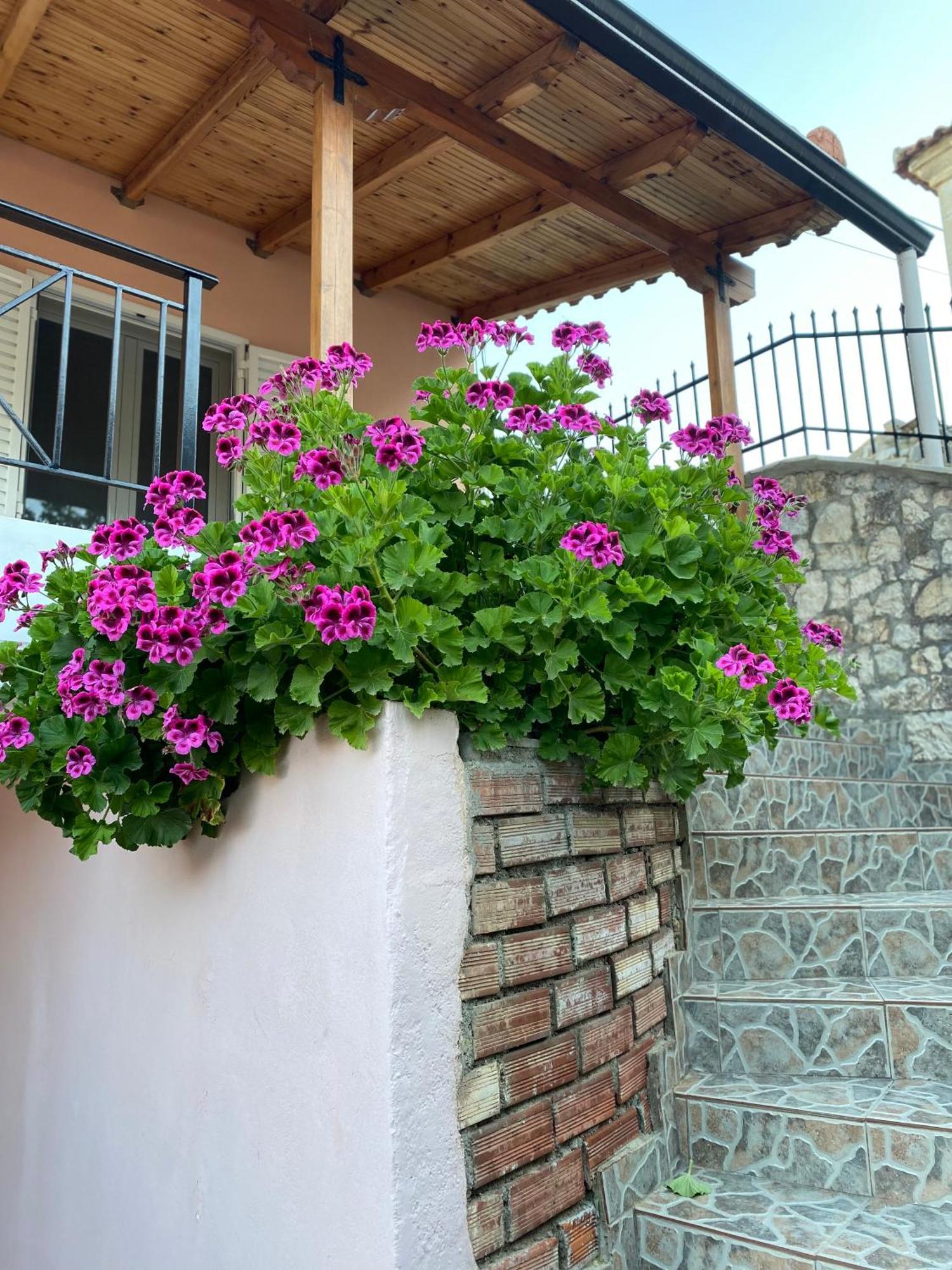 Gkoros House Old Town Βίλα Χειμάρρα Εξωτερικό φωτογραφία